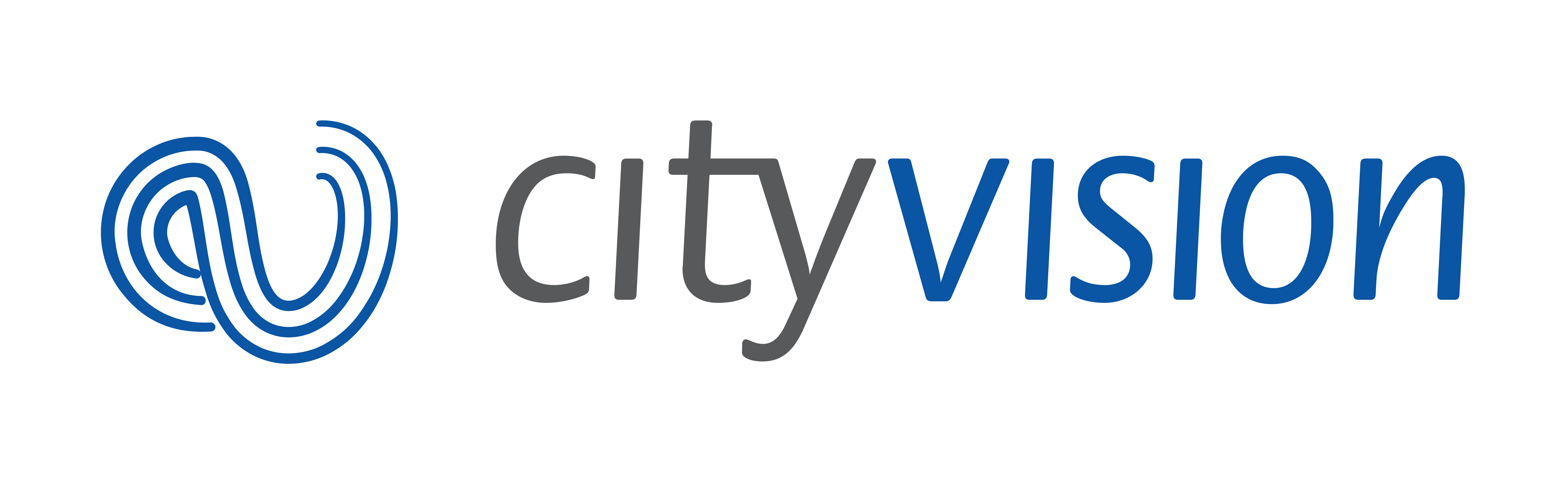 cityvision